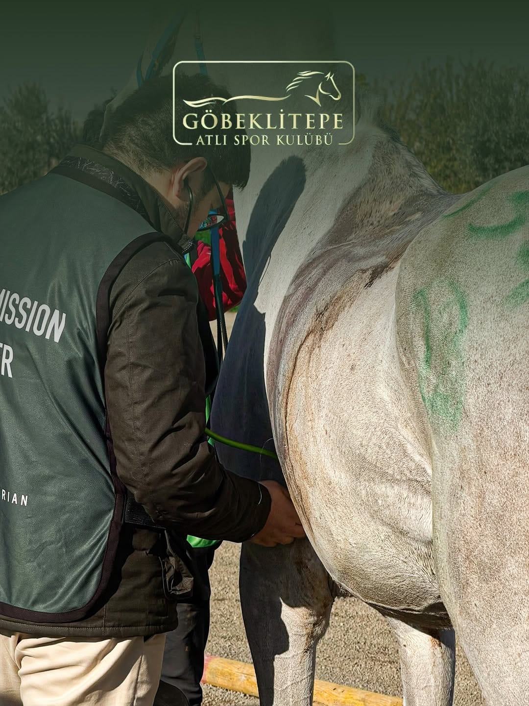 Post 2 by Göbeklitepe Atlı Spor Kulübü on Instagram (carousel)