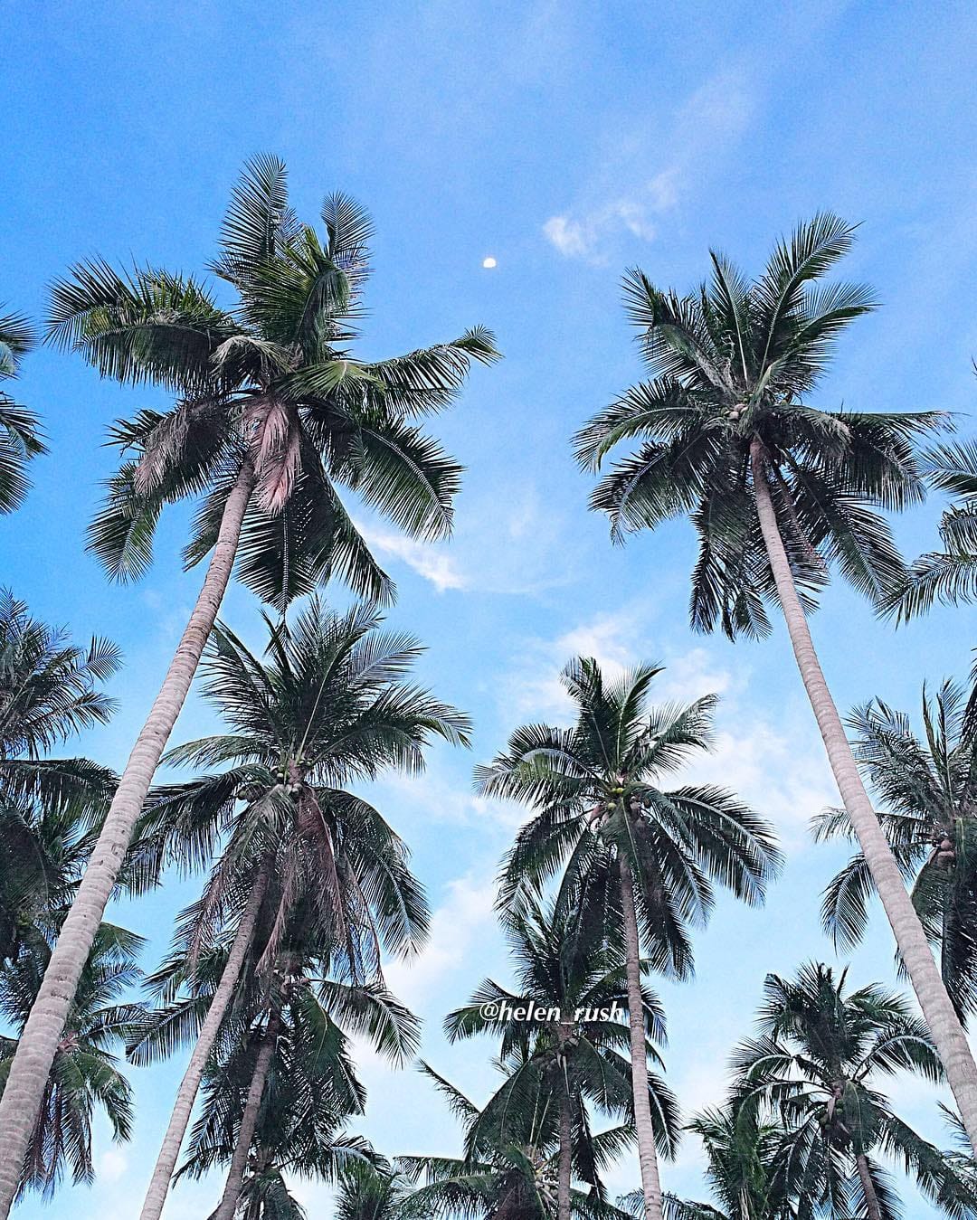 Post 2 by Elena •travel girl• on Instagram (image)
