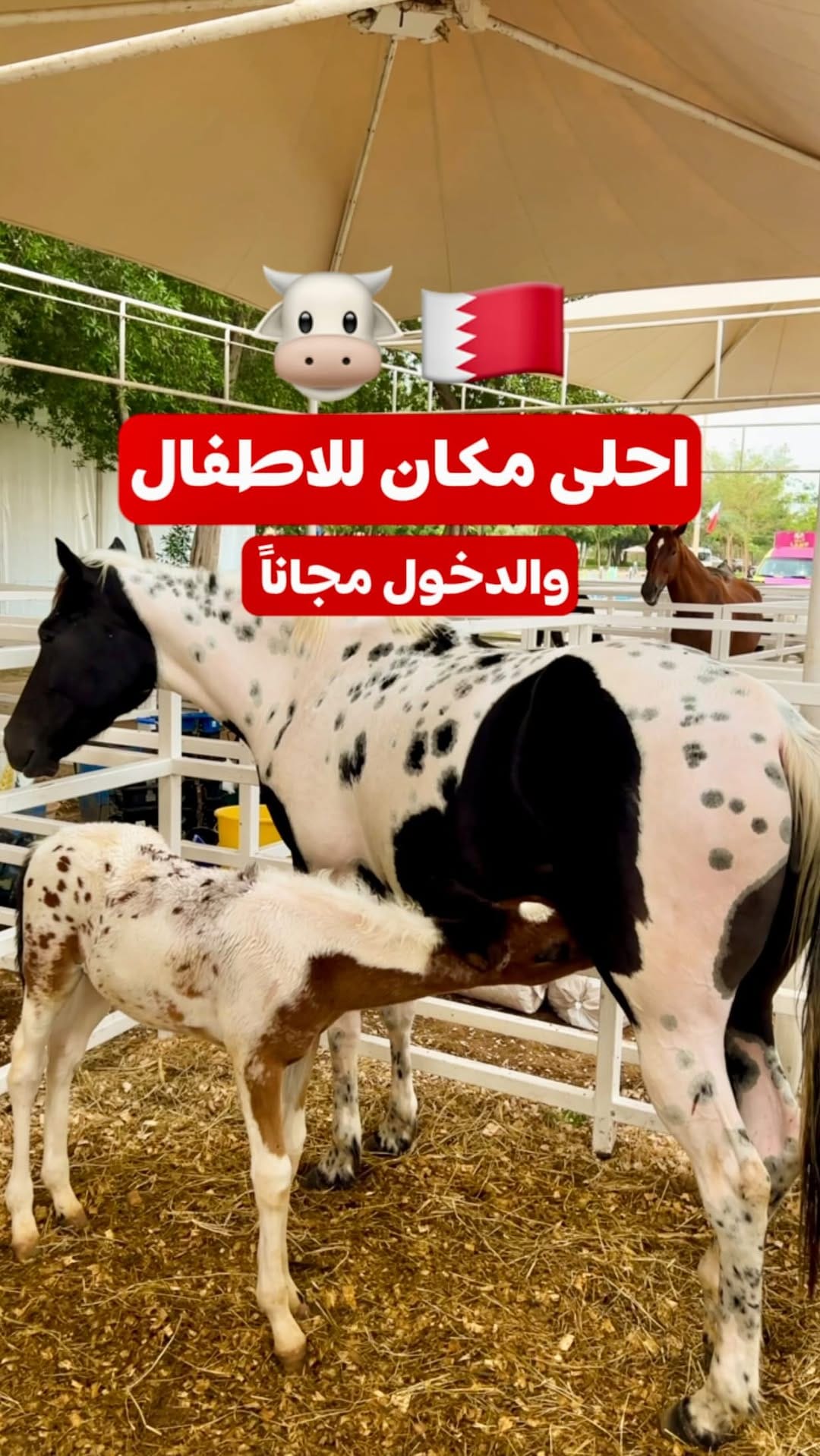 Post 7 by كل ما يخص السفر والسياحة 🤠✈️ on Instagram (video)