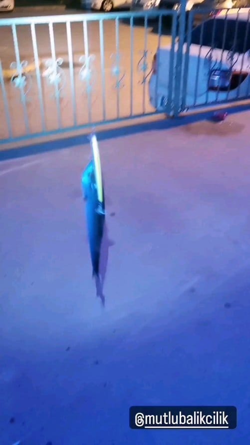Post 10 by Tevfik Sezer on Instagram (video)