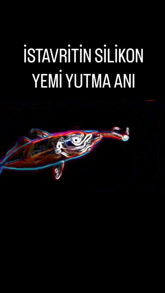 Post 9 by Tevfik Sezer on Instagram (video)
