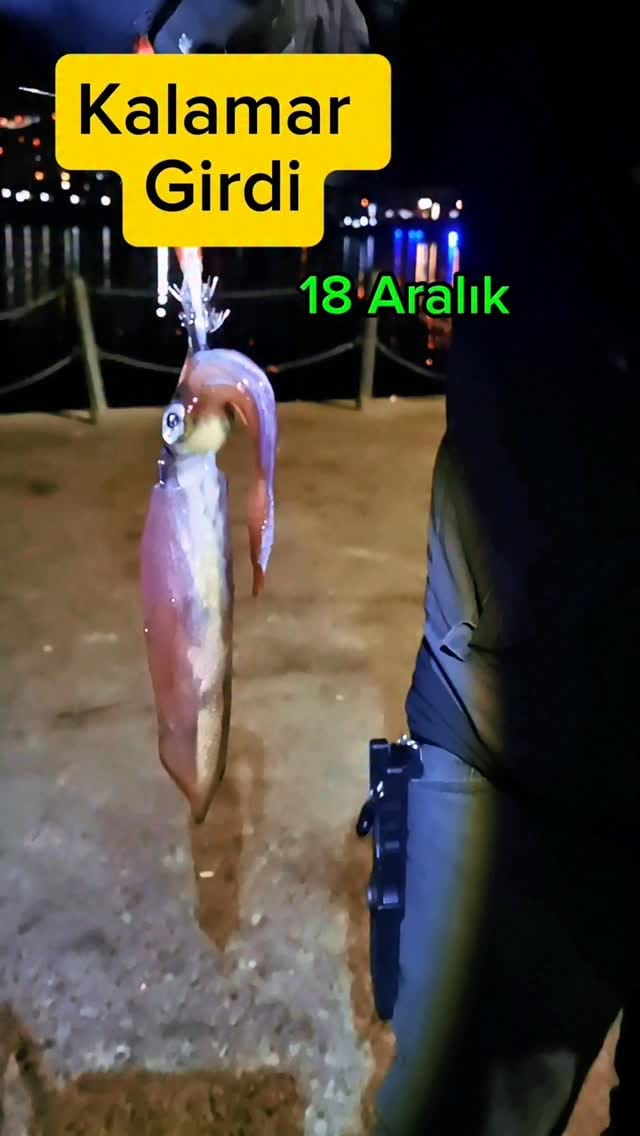 Post 7 by Tevfik Sezer on Instagram (video)