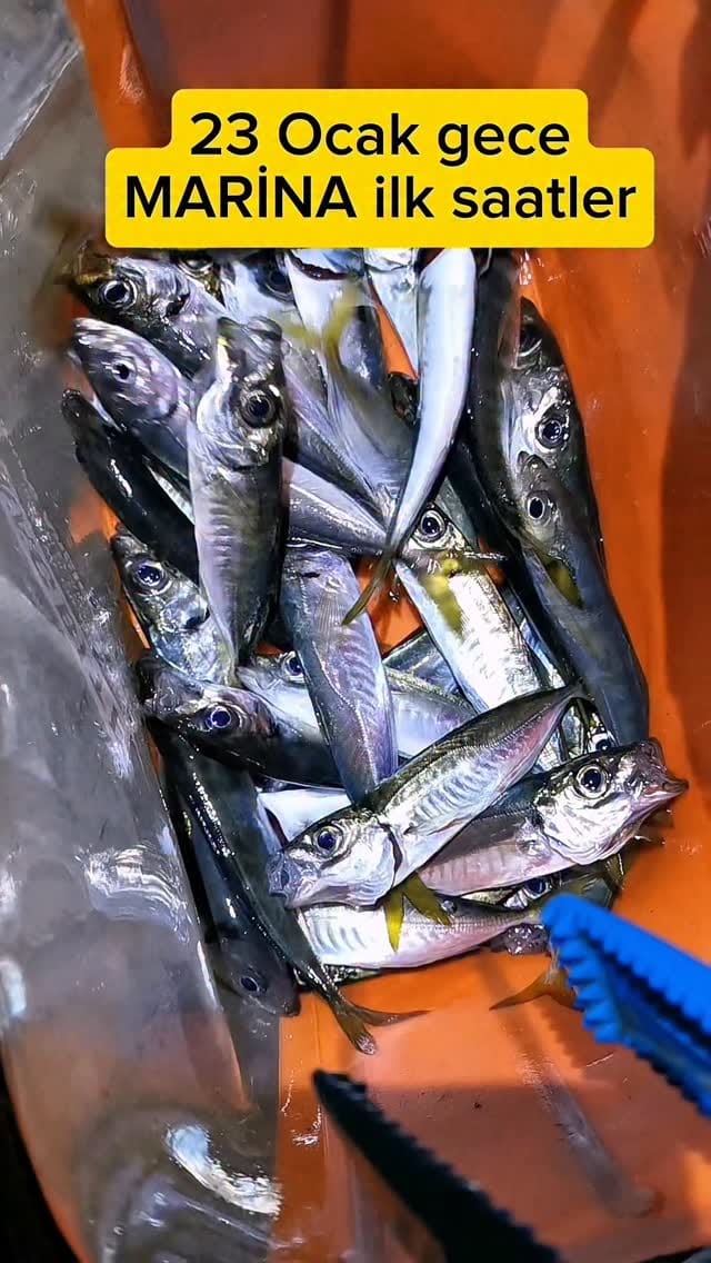 Post 1 by Tevfik Sezer on Instagram (video)
