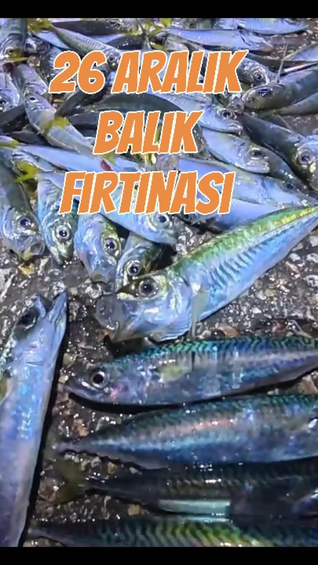 Post 4 by Tevfik Sezer on Instagram (video)