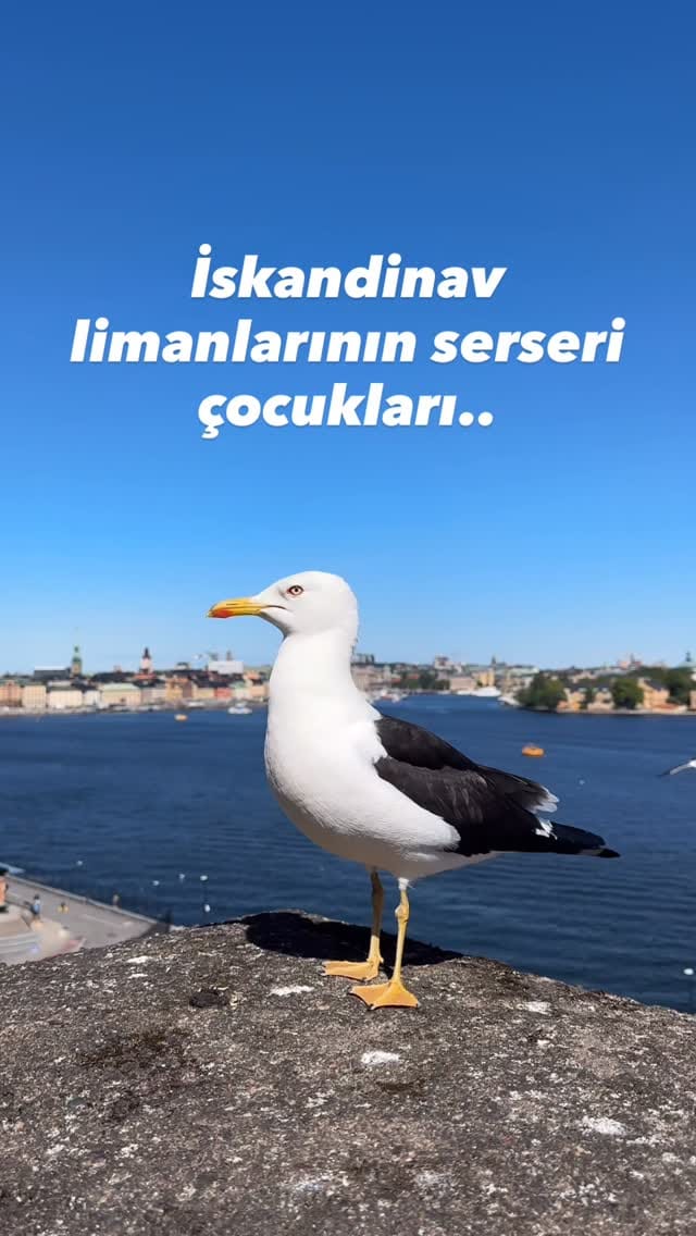 Post 7 by Sahildekiev_Gezi on Instagram (video)