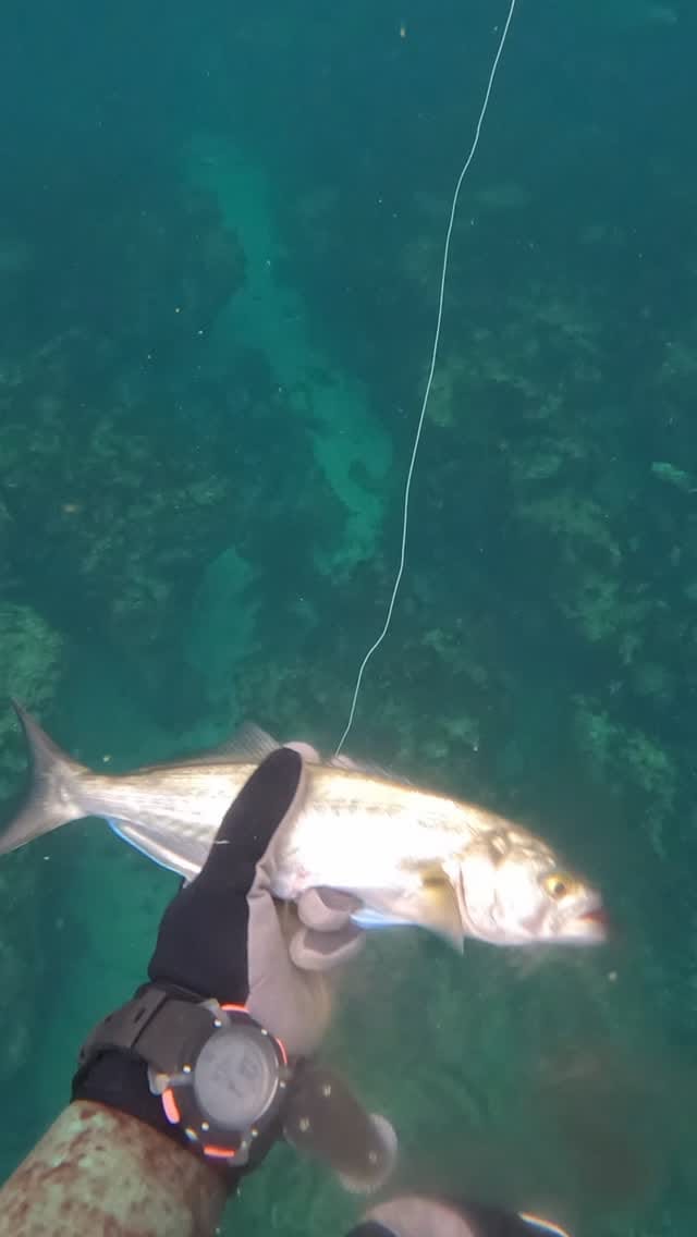 Post 5 by Görkem Gürsoy on Instagram (video)