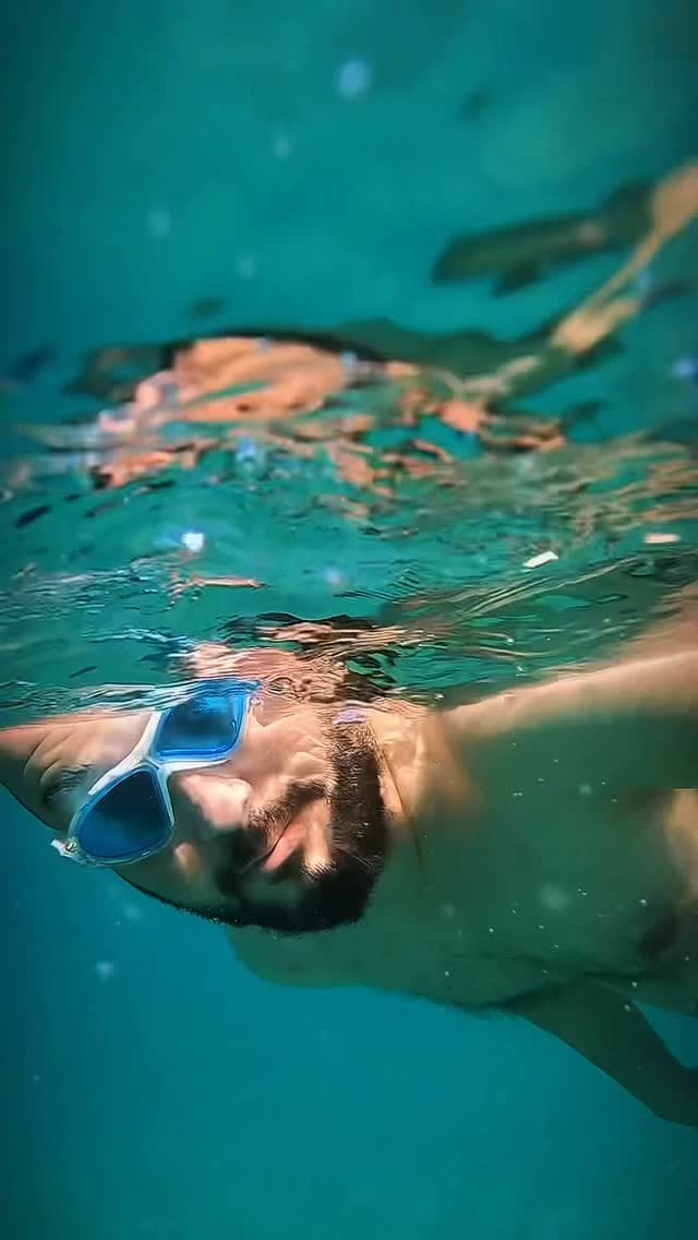 Post 3 by Tezcan Uysal on Instagram (video)