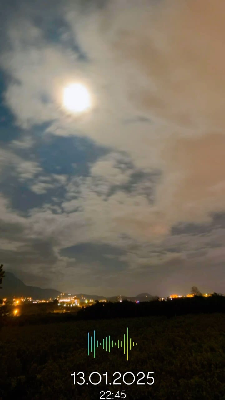 Post 5 by Tezcan Uysal on Instagram (video)