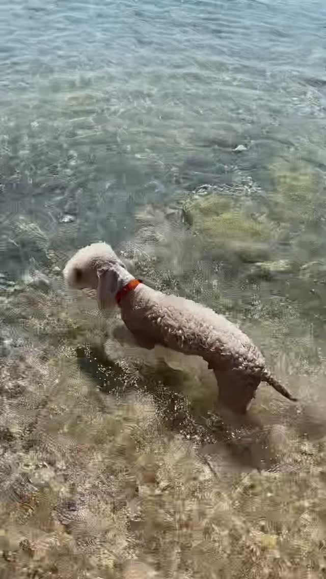 Post 2 by Benjamin Harvey on Instagram (video)