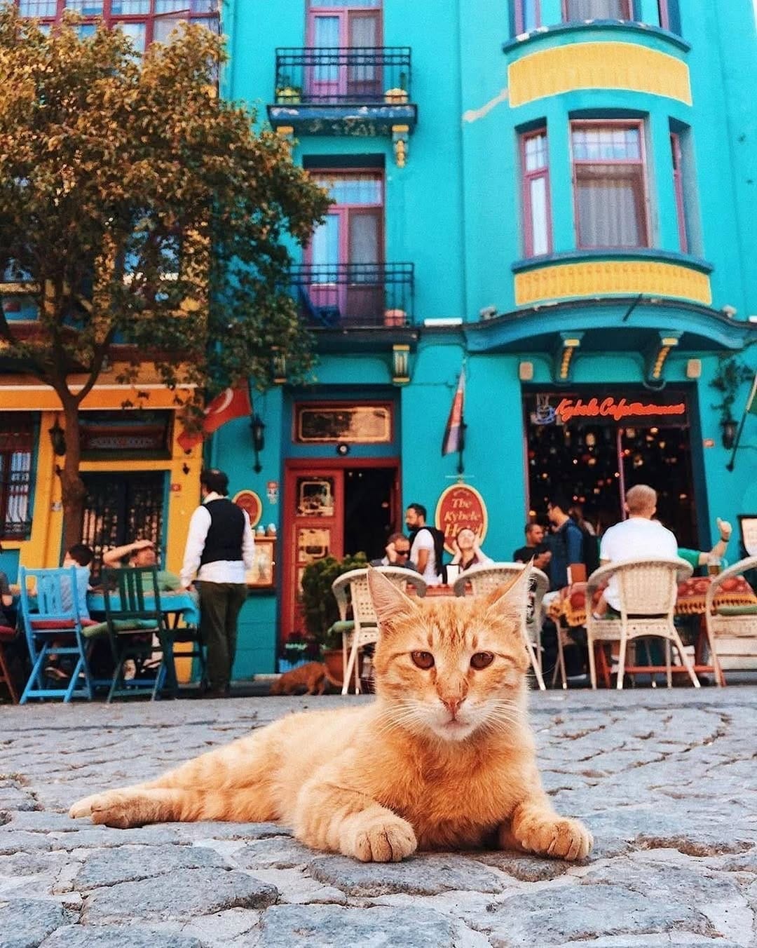 Post 5 by Cappadocia / Turkey on Instagram (image)
