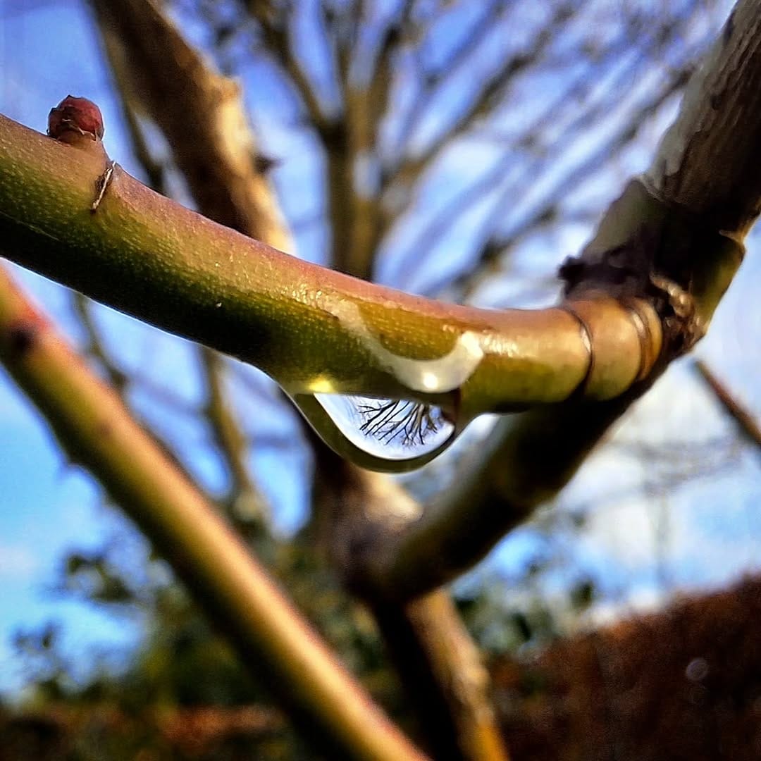 Post 2 by Annick Dehennin on Instagram (image)