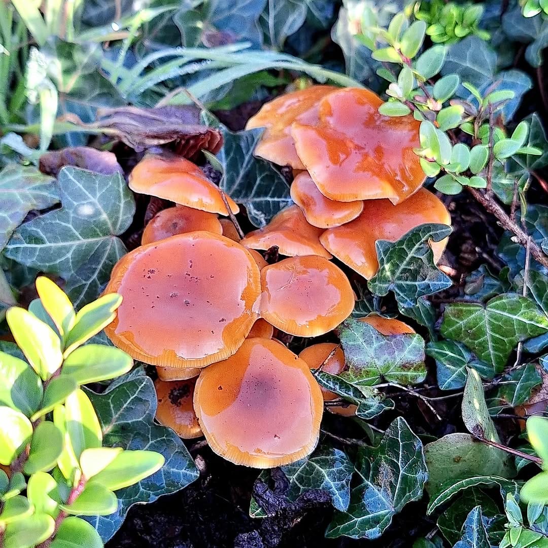 Post 6 by Annick Dehennin on Instagram (image)
