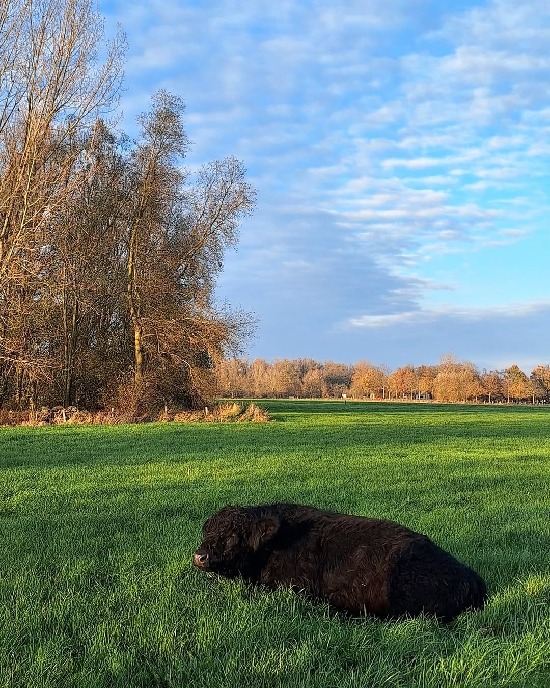 Post 8 by Annick Dehennin on Instagram (image)