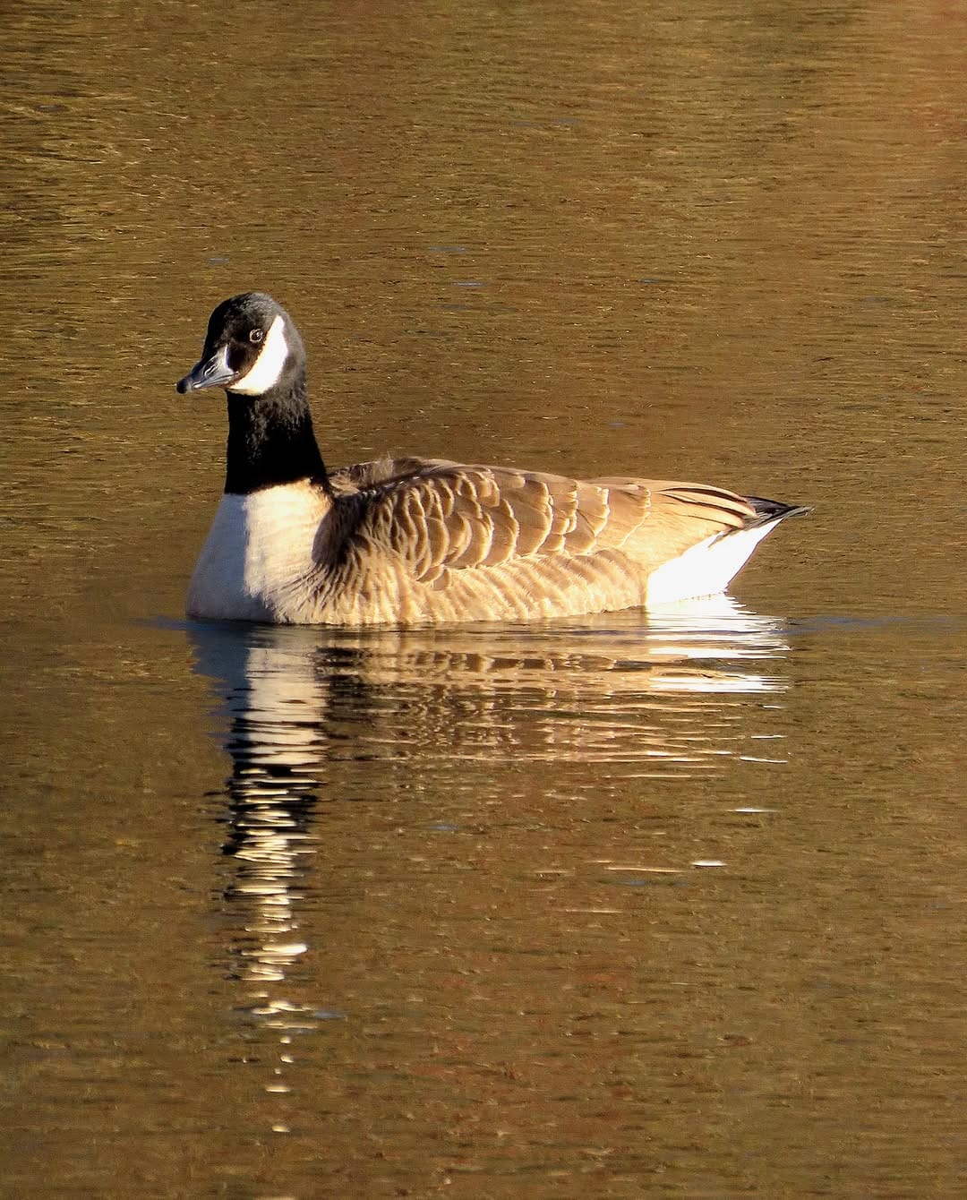 Post 9 by Annick Dehennin on Instagram (image)