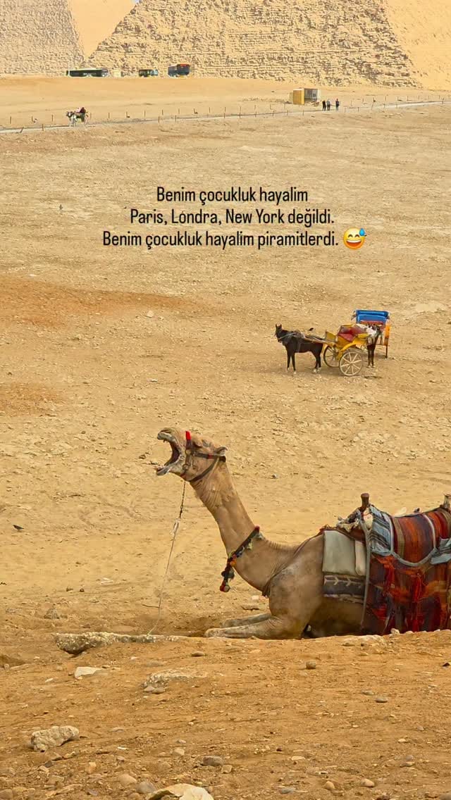 Post 6 by Aygün BAĞ on Instagram (video)