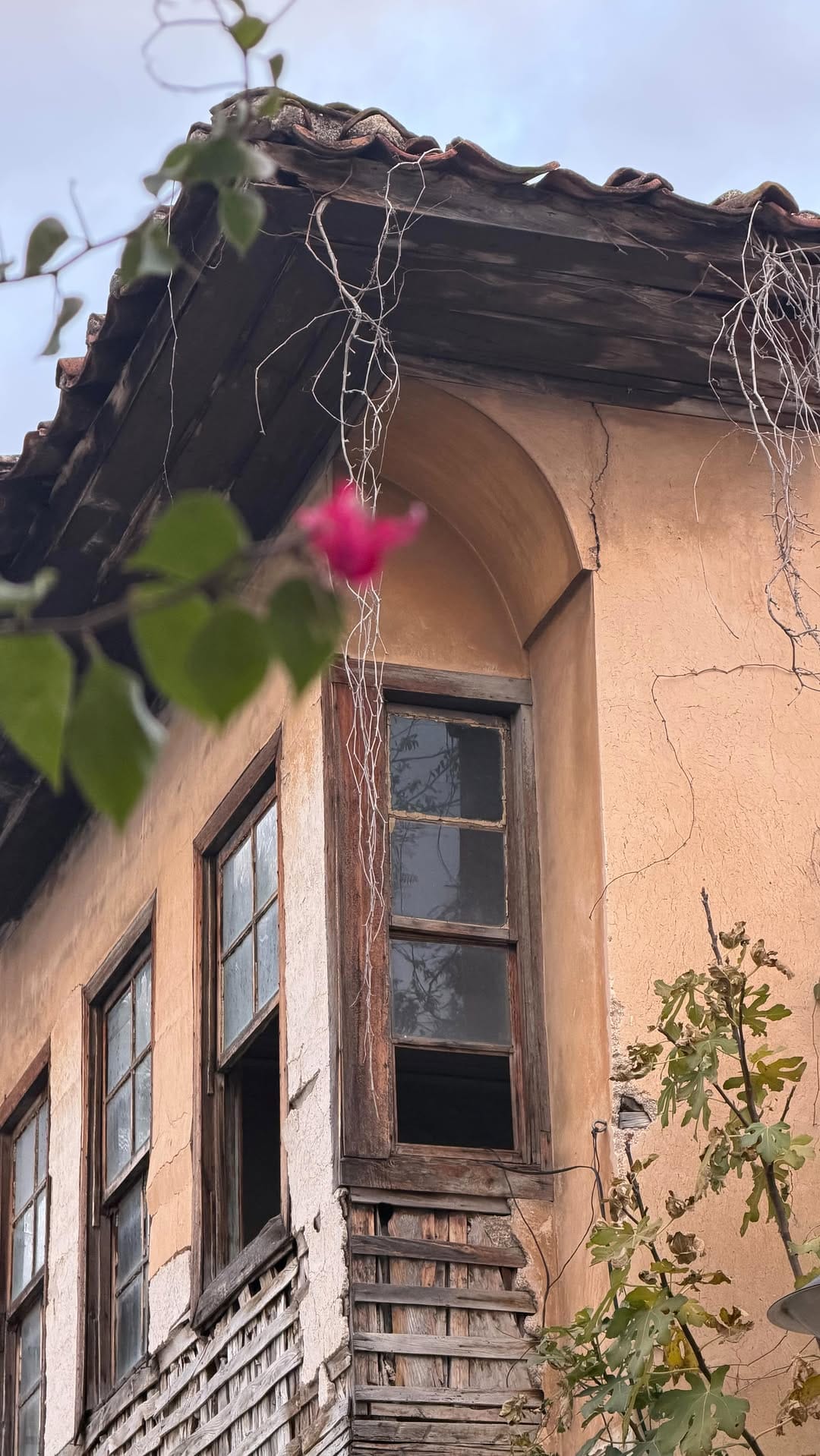 Post 2 by Maral Abbaspour on Instagram (video)