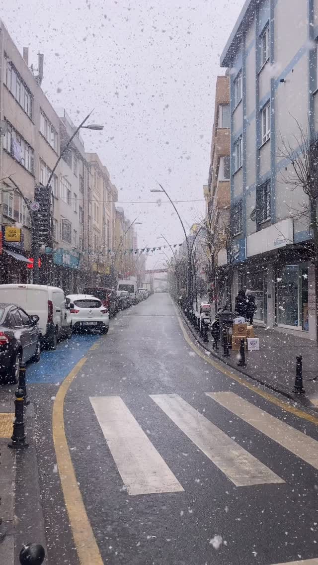 Post 9 by Afshin Est on Instagram (video)