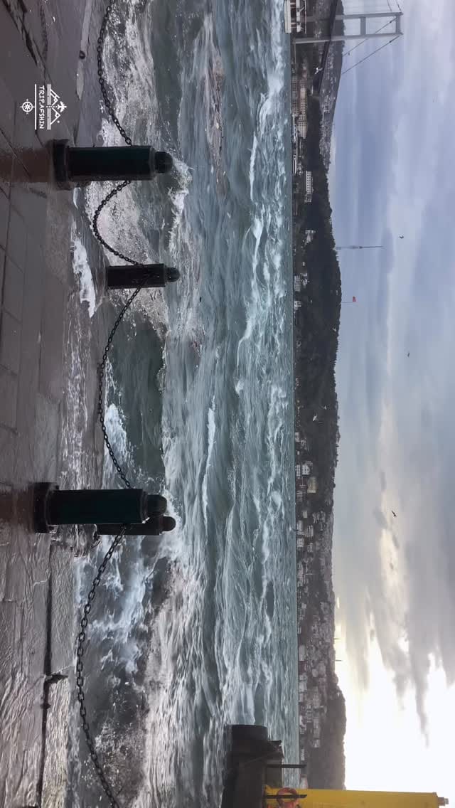 Post 5 by Afshin Est on Instagram (video)