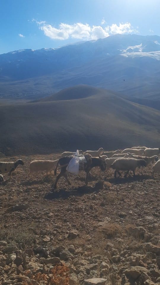 Post 5 by Gezginin Rotası on Instagram (video)