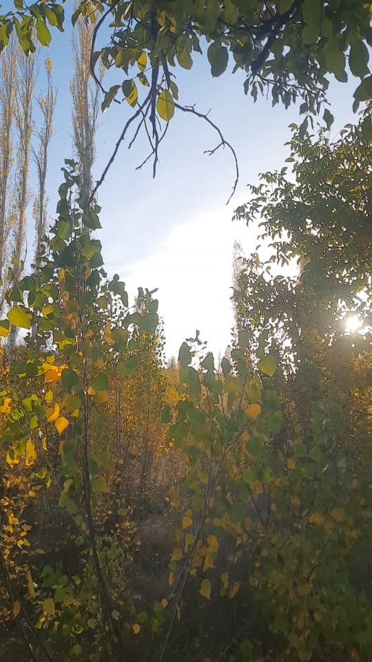 Post 7 by Gezginin Rotası on Instagram (video)