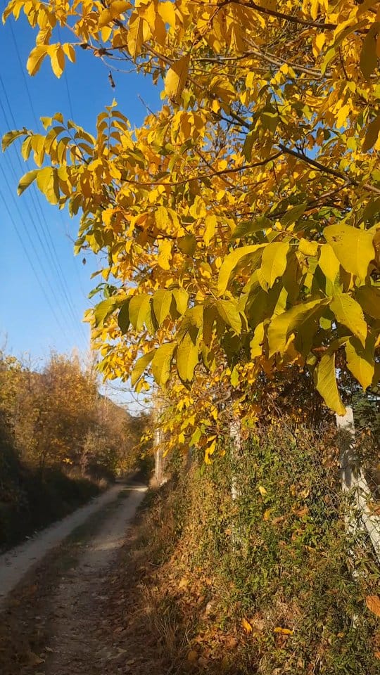 Post 8 by Gezginin Rotası on Instagram (video)