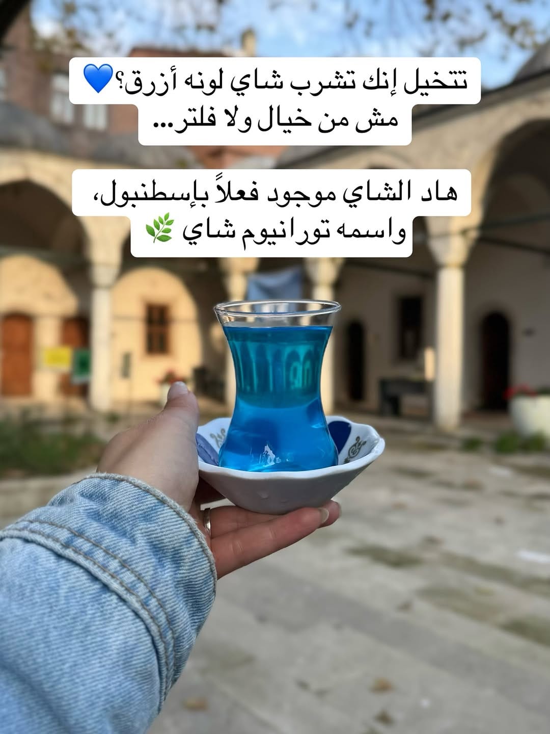 Post 8 by Hwayda dagher on Instagram (carousel)