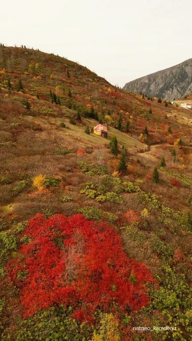 Post 10 by NatGeoKaradeniz on Instagram (video)