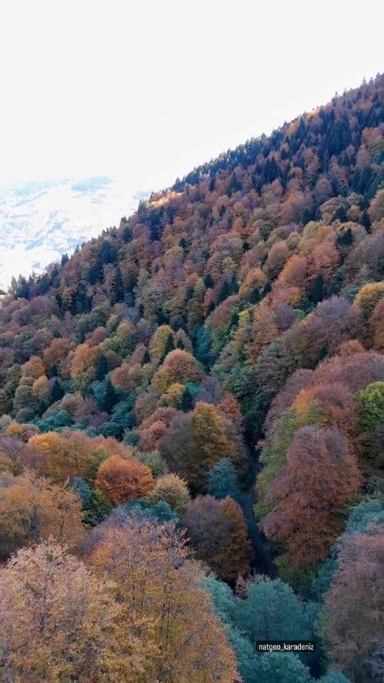 Post 1 by NatGeoKaradeniz on Instagram (video)