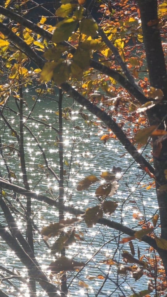 Post 5 by NatGeoKaradeniz on Instagram (video)