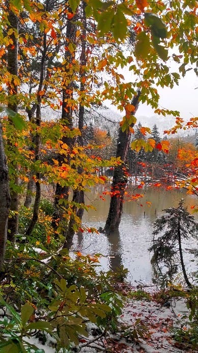 Post 9 by NatGeoKaradeniz on Instagram (video)