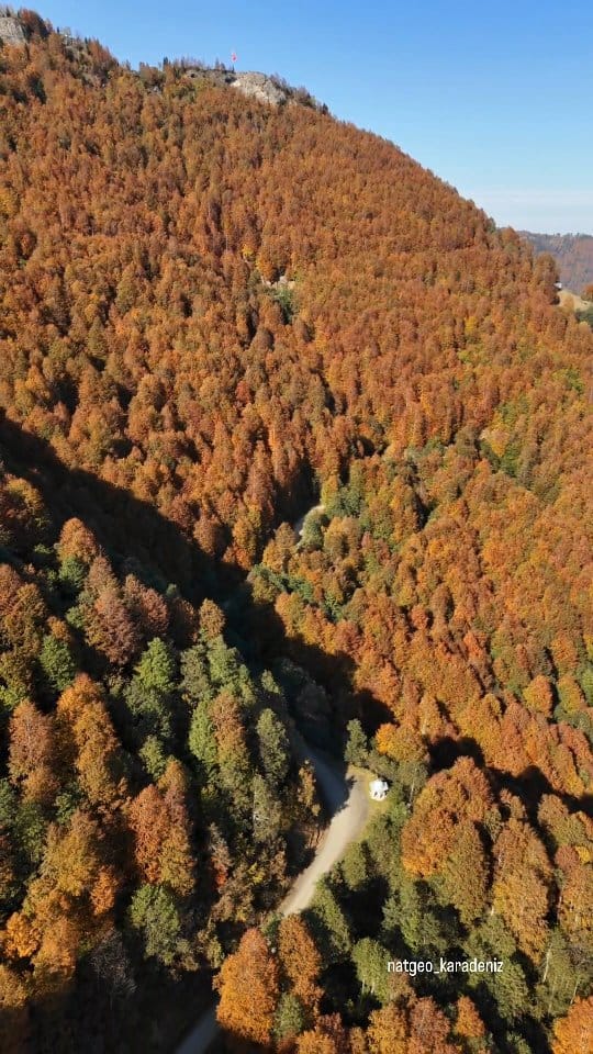 Post 3 by NatGeoKaradeniz on Instagram (video)