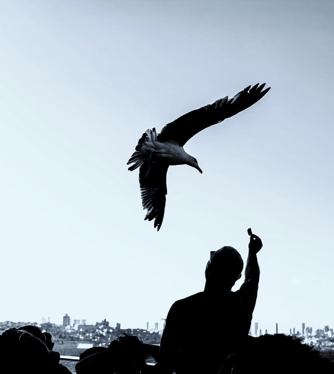 Post 7 by Bulent Çolak on Instagram (image)