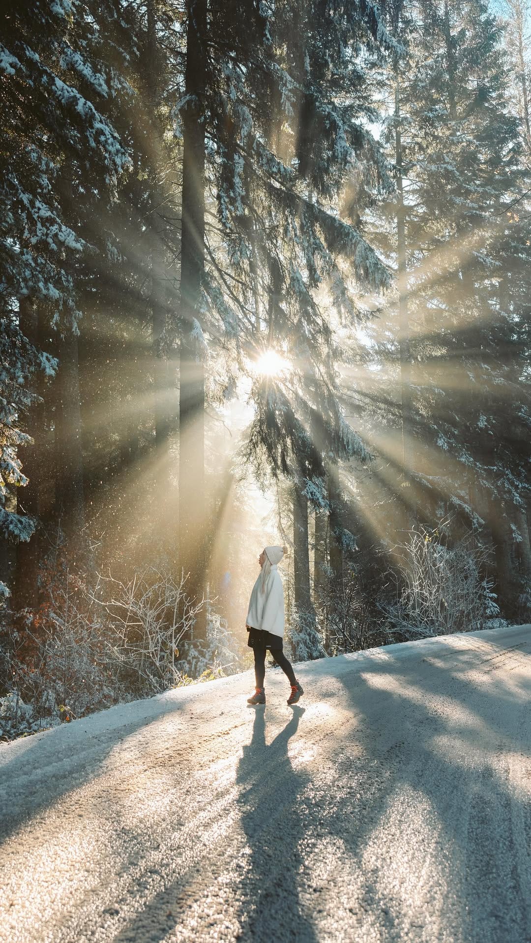 Post 5 by Katarina Batuta Višekruna on Instagram (video)