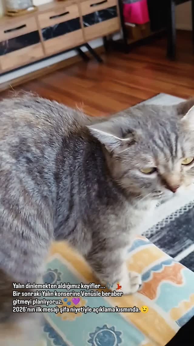 Post 2 by Gizem Holistik Şifa Merkezi on Instagram (video)