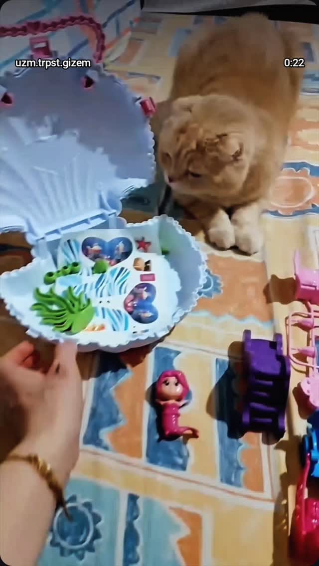 Post 3 by Gizem Holistik Şifa Merkezi on Instagram (video)