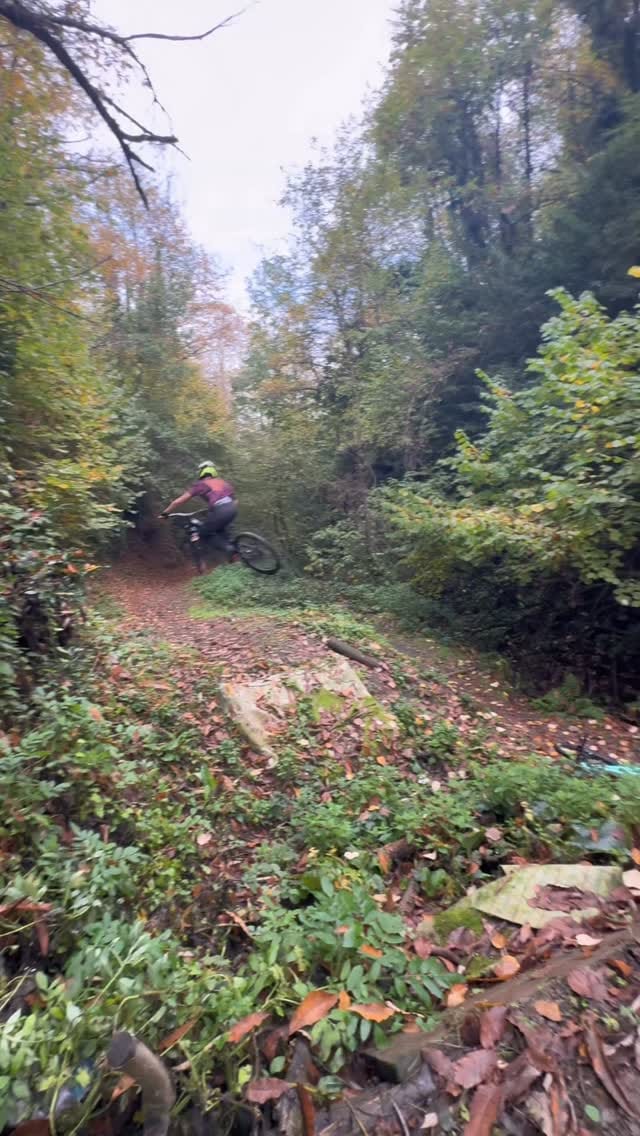 Post 1 by Talha Özdil on Instagram (video)