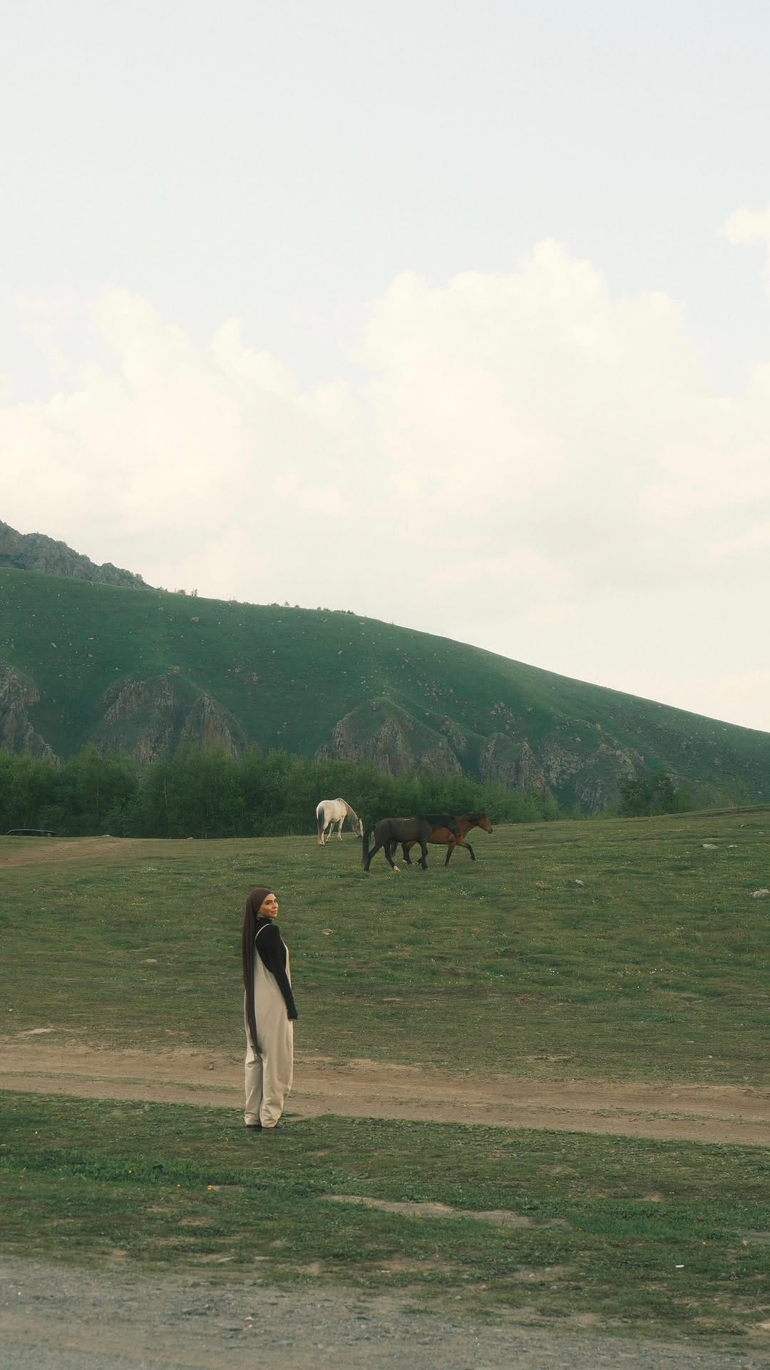 Post 5 by Dana Attalla | دانه عطاالله on Instagram (video)