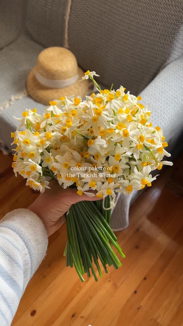 Post 5 by Diana | The Captain’s Wife in a Mountain Village on Instagram (video)