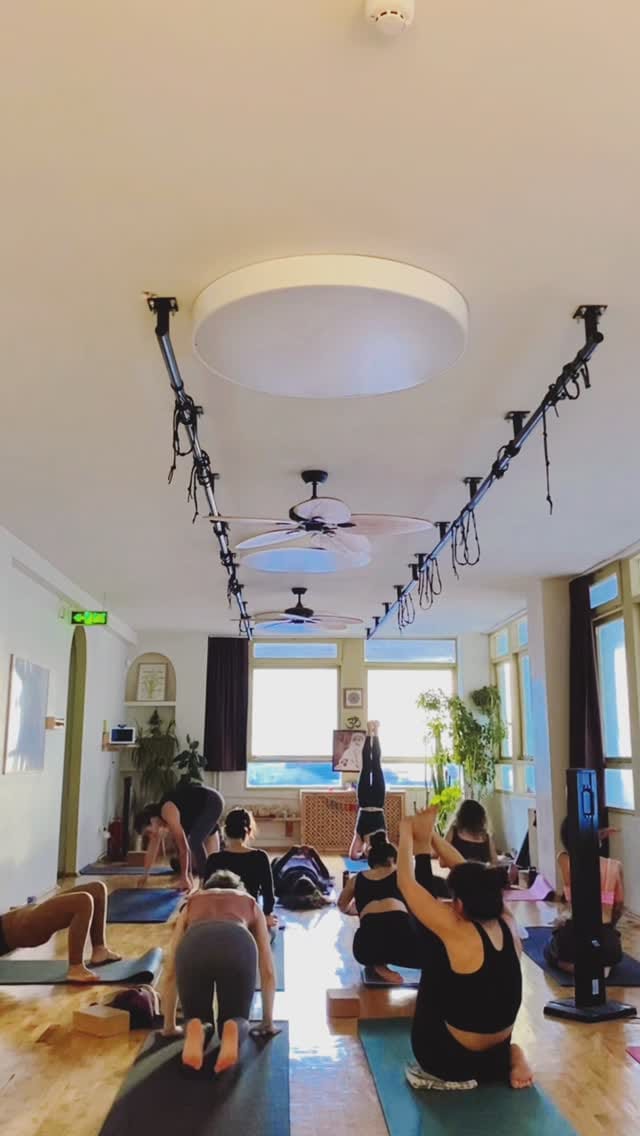 Post 7 by GoaYoga on Instagram (video)