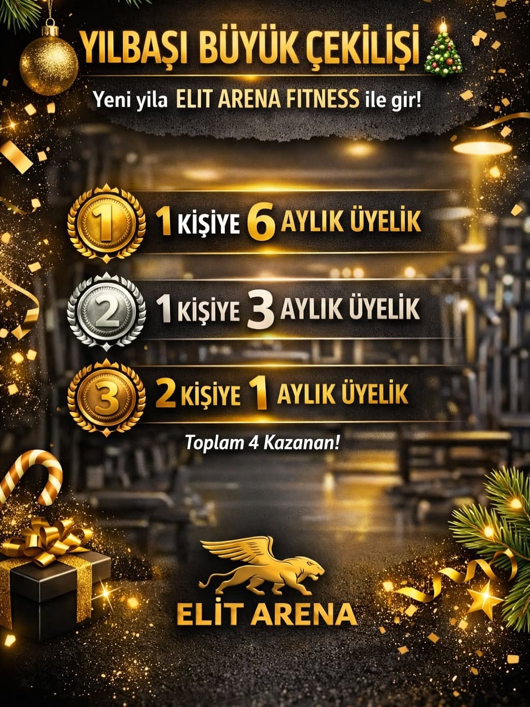 Post 3 by Elit Arena on Instagram (image)