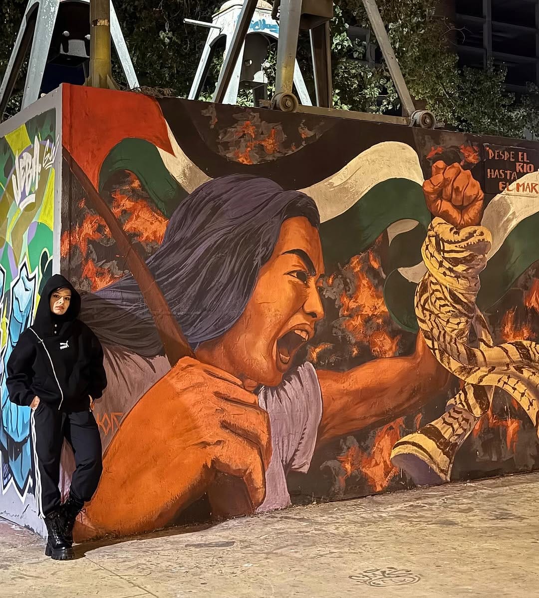 Post 6 by Zeynep Akyüz 花木兰🇹🇷🇵🇸🇨🇳 on Instagram (carousel)