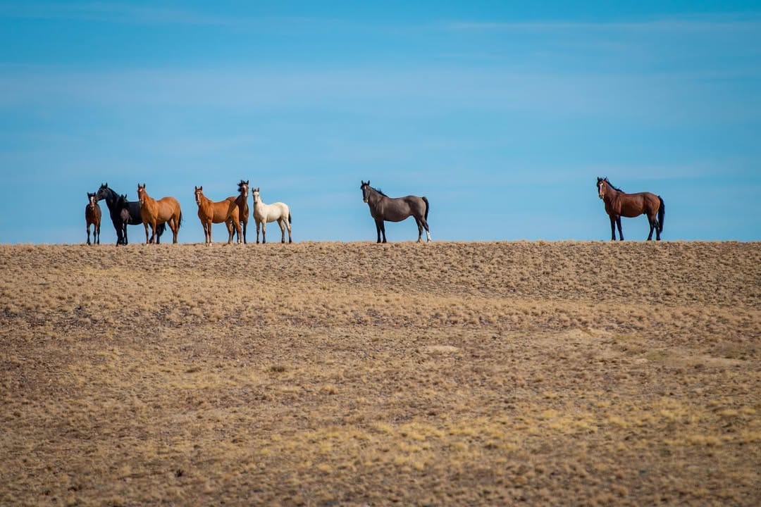 Post 7 by Dave Owens on Instagram (image)