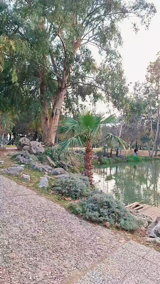 Post 8 by Mazen Moumne on Instagram (video)