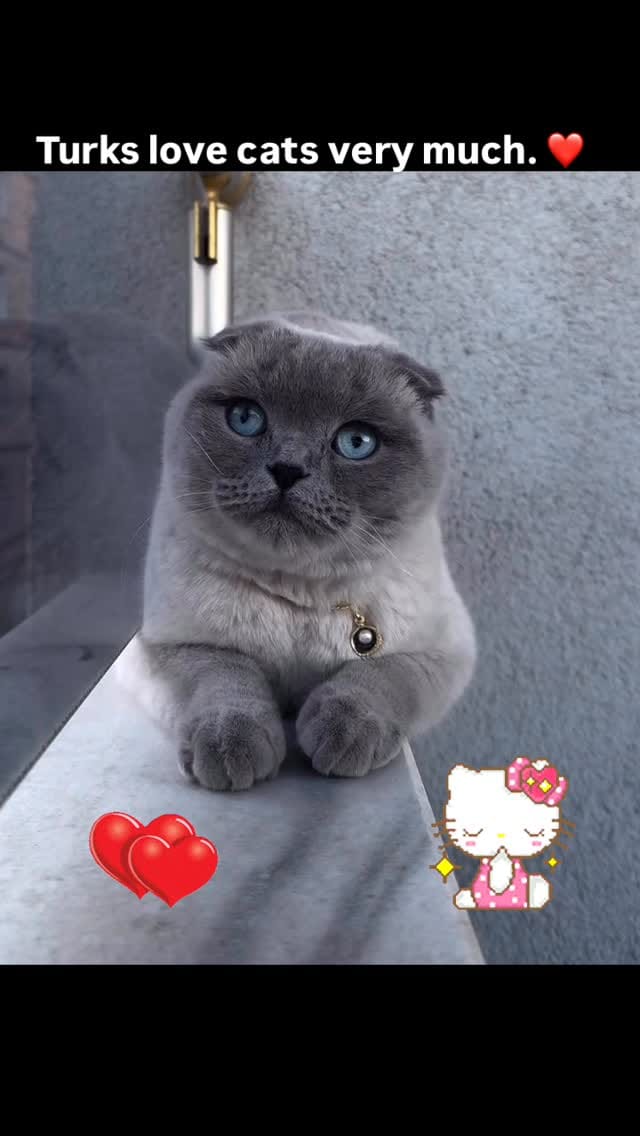 Post 8 by TurkeyTurquieTurkeiTürkiye on Instagram (video)