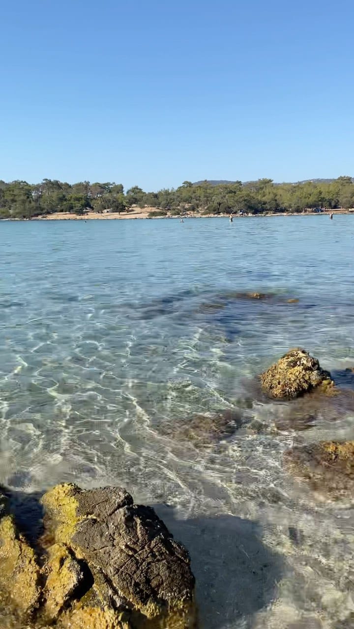 Post 10 by Hanife on Instagram (video)