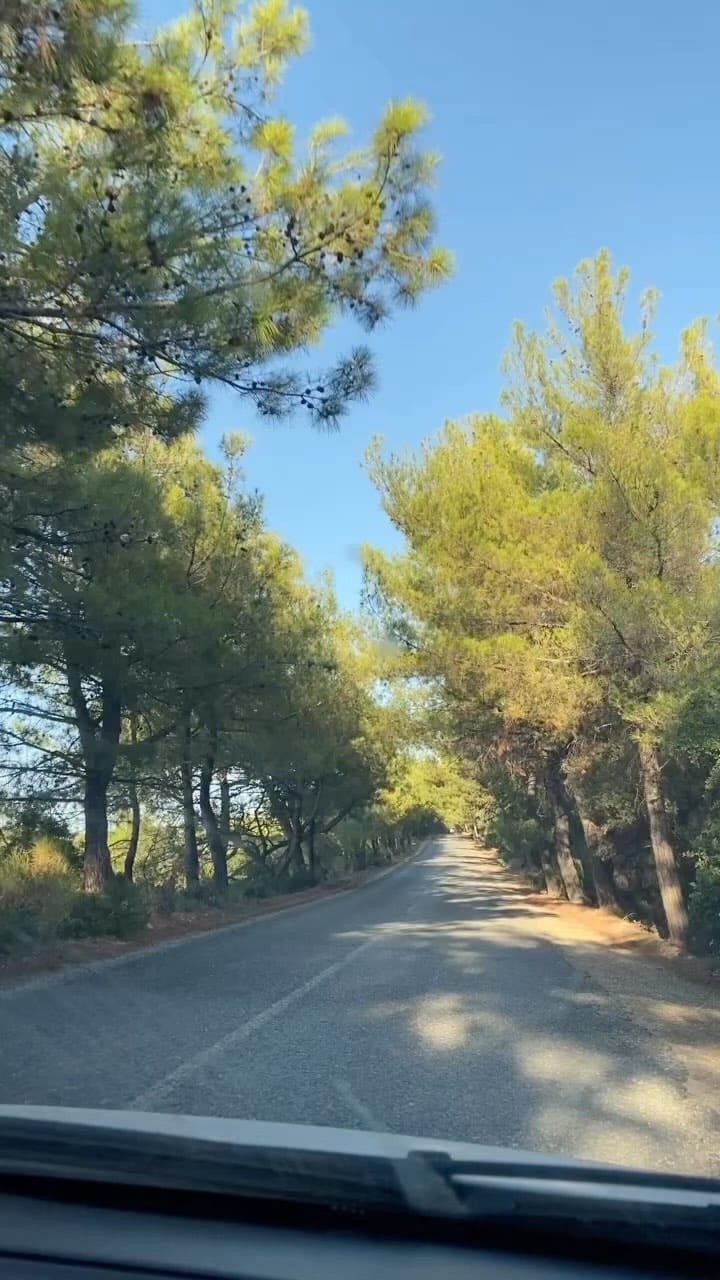 Post 9 by Hanife on Instagram (video)