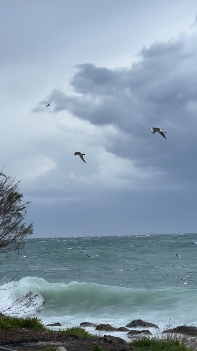 Post 7 by Ömer Kılıç on Instagram (video)