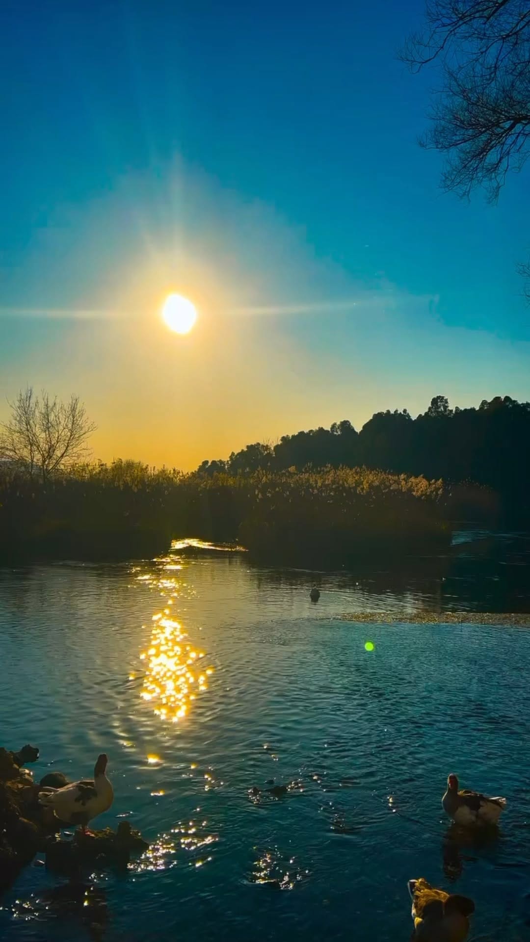 Post 6 by Go Muğla on Instagram (video)