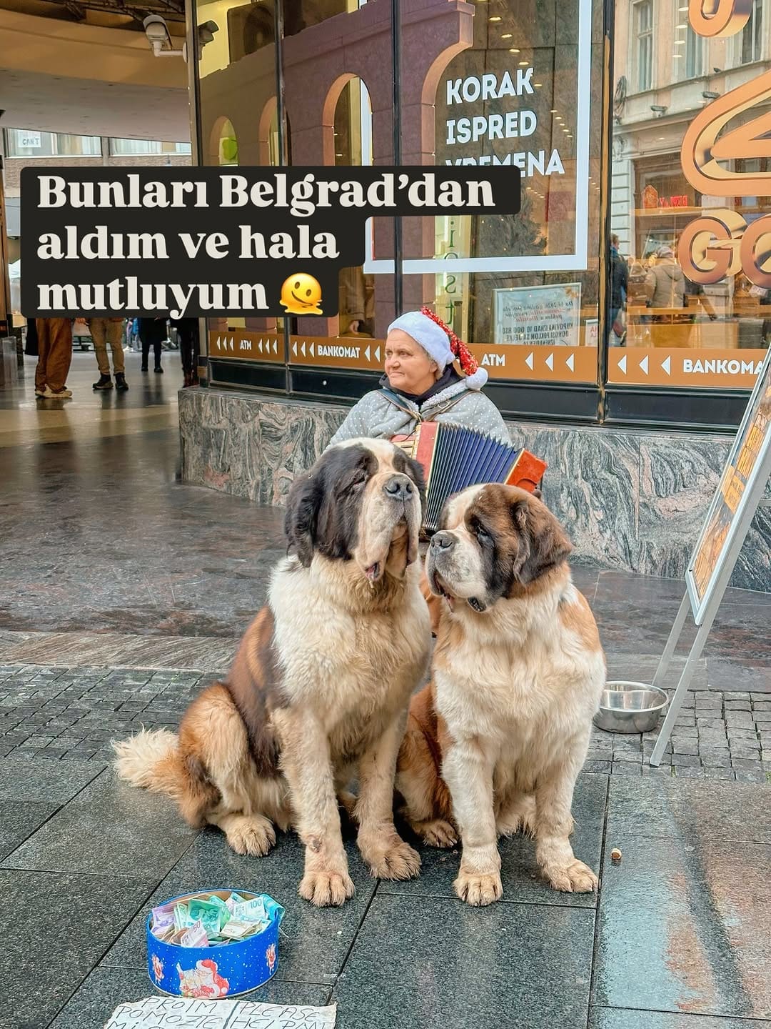 Post 7 by Melis Tosun on Instagram (carousel)