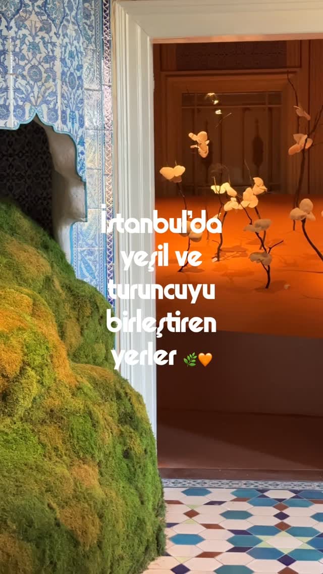 Post 10 by Melis Tosun on Instagram (video)